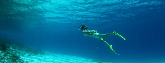 Dicapac Ocean